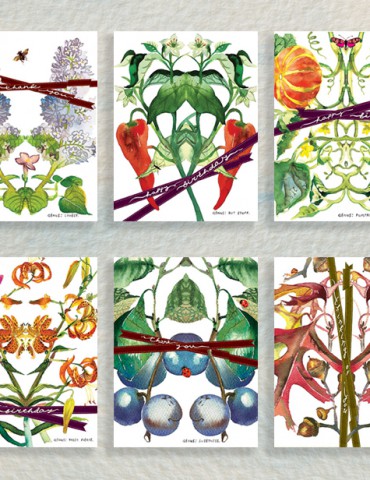 botanicus twelve greeting cards plants nature watercolor masha d'yans