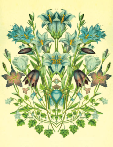 Botanic Object Blue watercolor greeting card by Masha D’yans