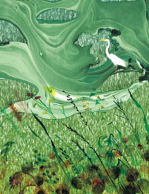 greenscape crane watercolor masha dyans
