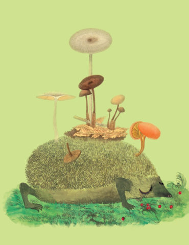 HDG1-mushroom-hedgehog-masha-dyans-watercolor-greeting-card