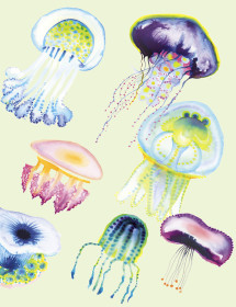 Jellyfish watercolor greeting card by Masha D’yans sets a playful mood for any occasion: Birthday, Love, Valentine's Day, Thank You, Sympathy, Miss You or Just Because.
