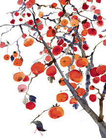 Persimmon Tree November Bird watercolor greeting card by Masha D'yans