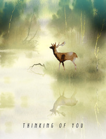Fog Buck evokes the beauty and fragility of nature for a difficult occasion. Send them love, strength and beauty with this Masha D’yans sympathy card.